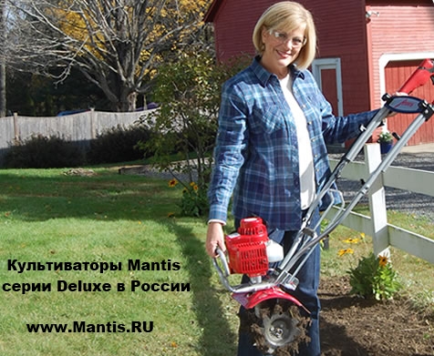 �����������  ������  Fast Start  Mantis + ���������